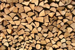 Holz - nachwachsender Rohstoff